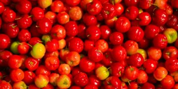 a pile of red cherries sitting next to each other