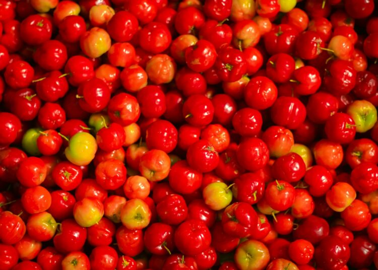 A pile of red cherries sitting next to each other