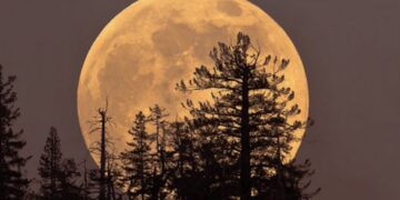 Dit doet de supermaan van vannacht met jou!