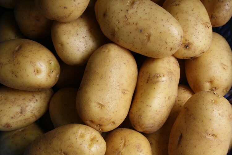 Brown potato lot