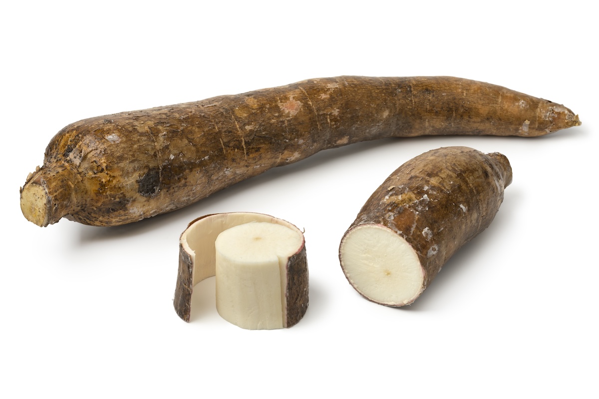 Whole Cassava root and a peeled piece isolated at white background close up - Info Vandaag