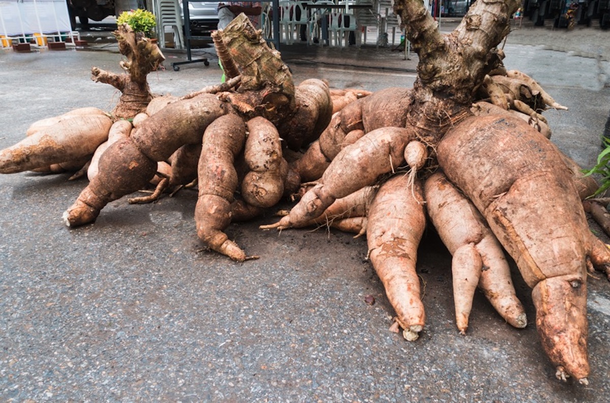 Screenshot - Info Vandaag