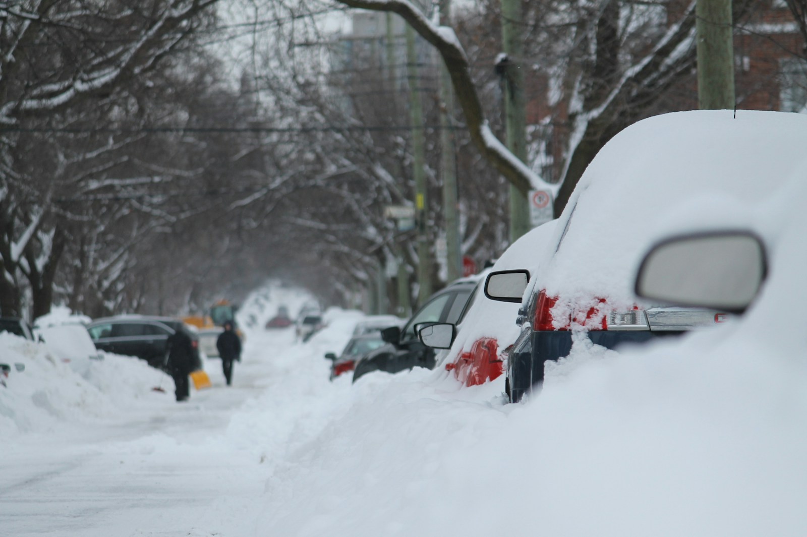 Vehicles covered in snow
