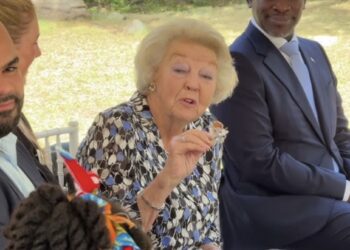 Onze gedachten zijn bij prinses Beatrix (87)