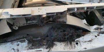 Levensgevaarlijk: zoveel stof kán in je droger verstopt zitten