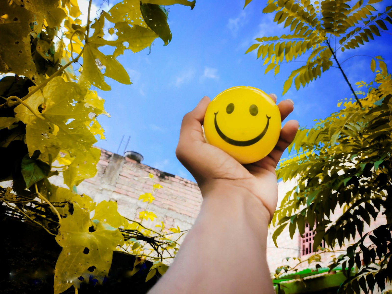 Photo by Shaurya Sagar - Info Vandaag A hand holding a yellow smiley face ball