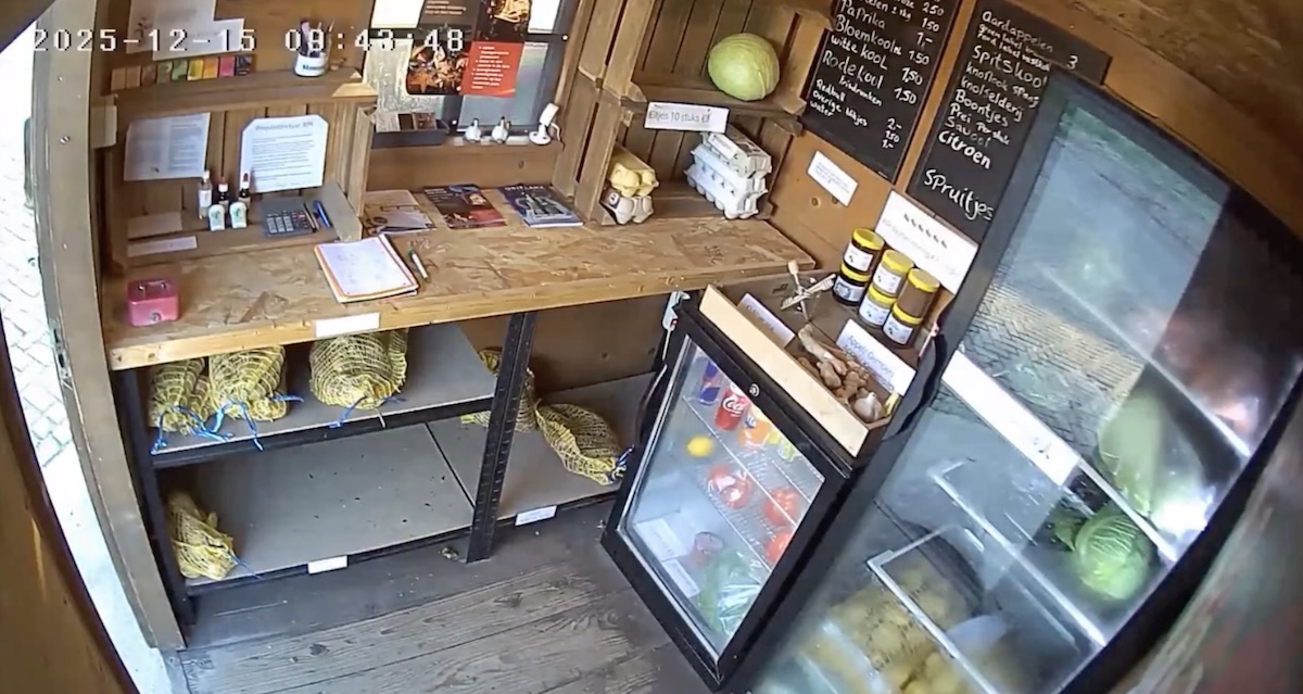 Screenshot - Info Vandaag