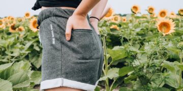 woman standing on sunflower meadow holding pocket