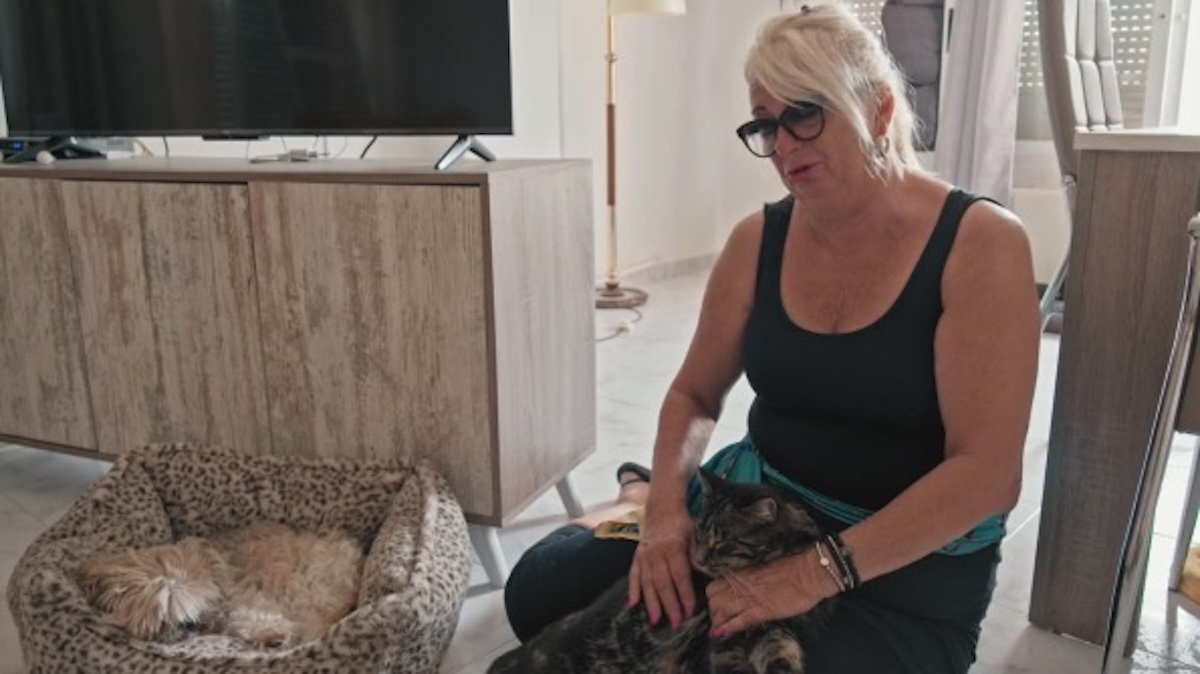 Screenshot - Info Vandaag