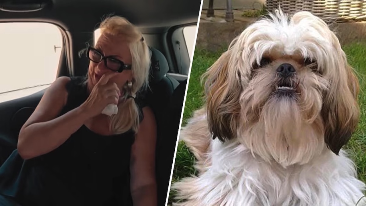 Screenshot - Info Vandaag