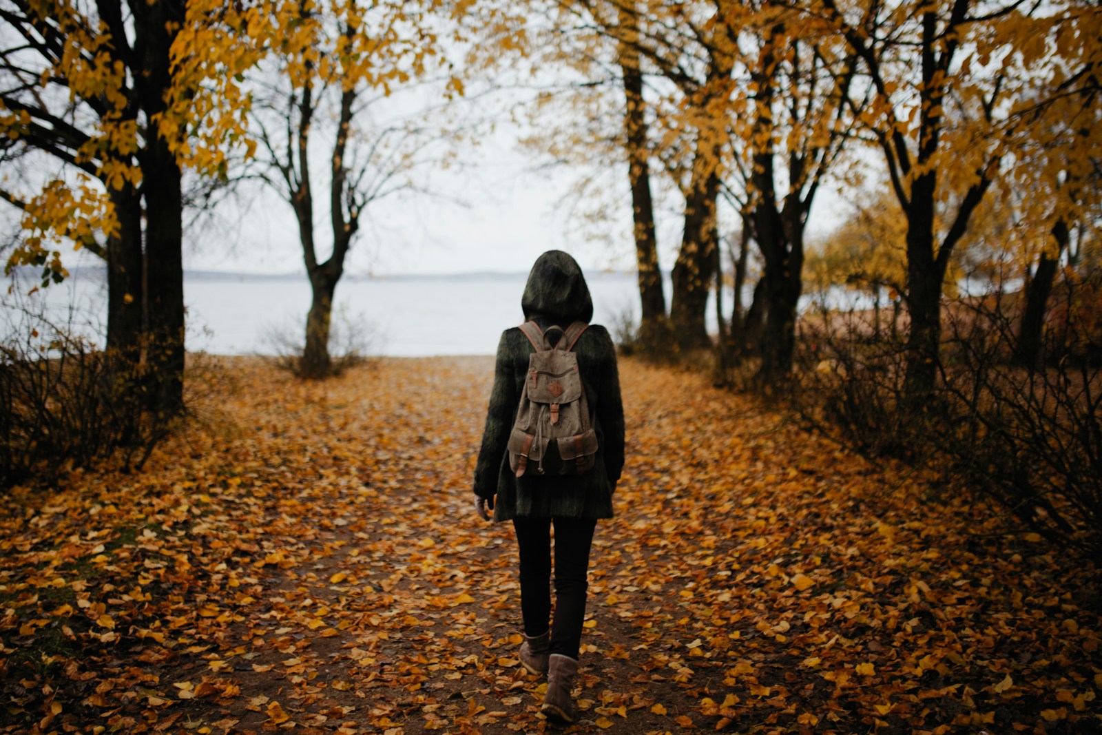 Photo by Dmitry Schemelev - Info Vandaag Woman walking on pathway with falling leaves near body of water during daytime