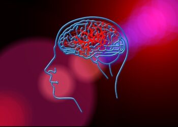 Stroke brain blood circulation anatomy head science background art error blood circulation disorder neurons stroke stroke stroke stroke stroke blood circulation