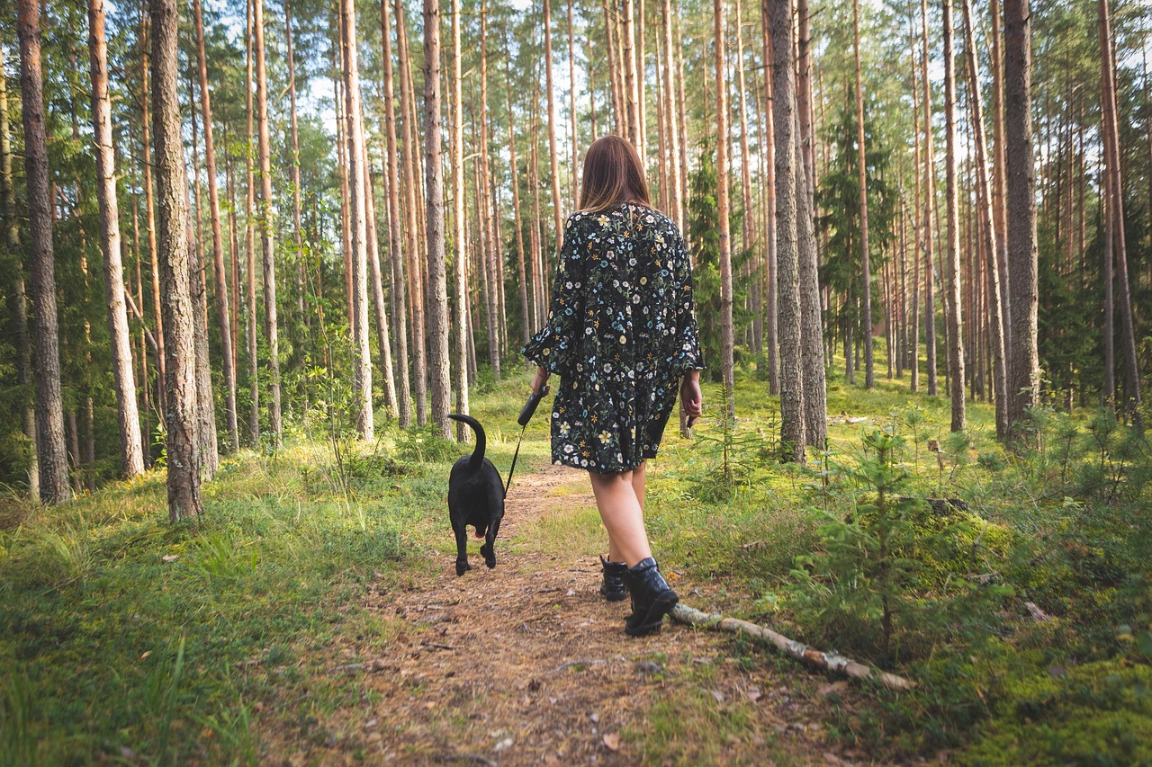 Photo by furry_portraits - Info Vandaag Dog nature forest landscape animal pet walk autumn cute walking retriever leaves female atmosphere leisure outdoors