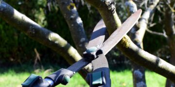 pruning shears, hedge trimmer, nature, tree cutter, tree, garden