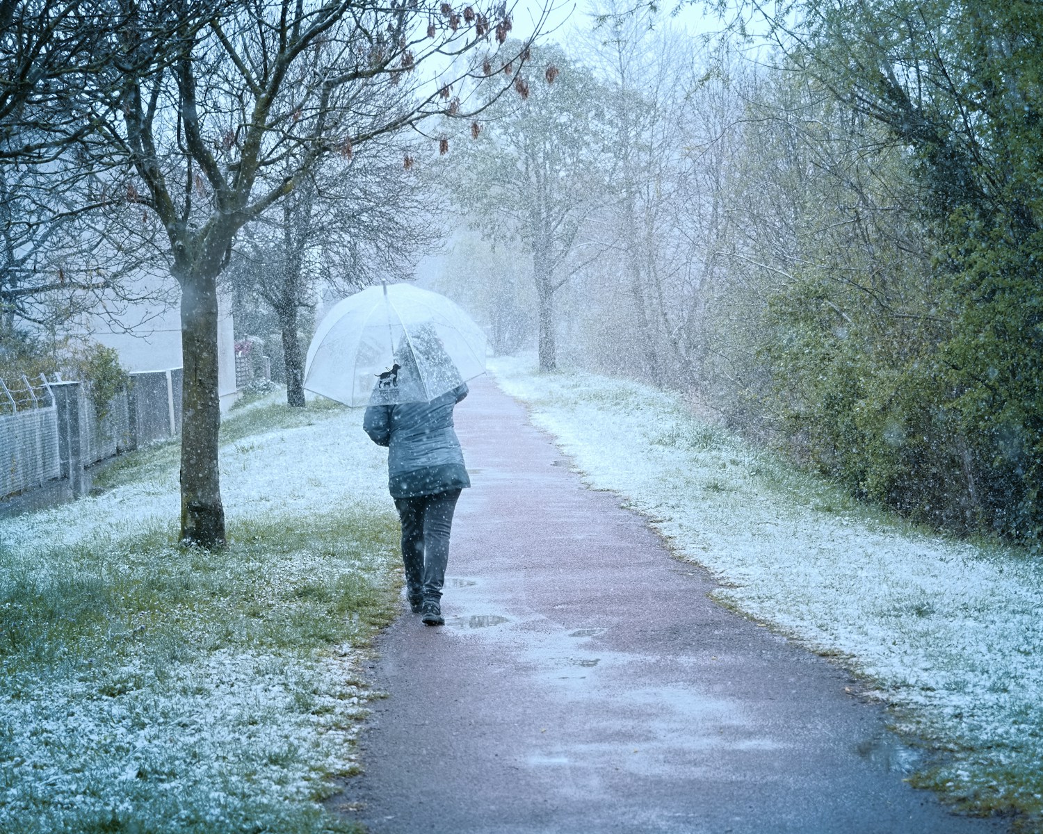 A person walking down a path in the snow with an umbrella