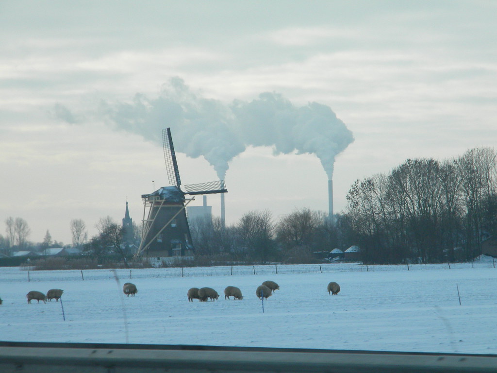 Dutch landscape seen from the A27 - Info Vandaag