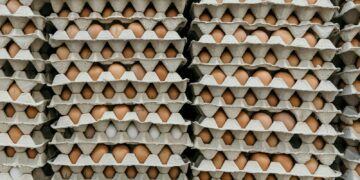 brown and black wooden wall decor