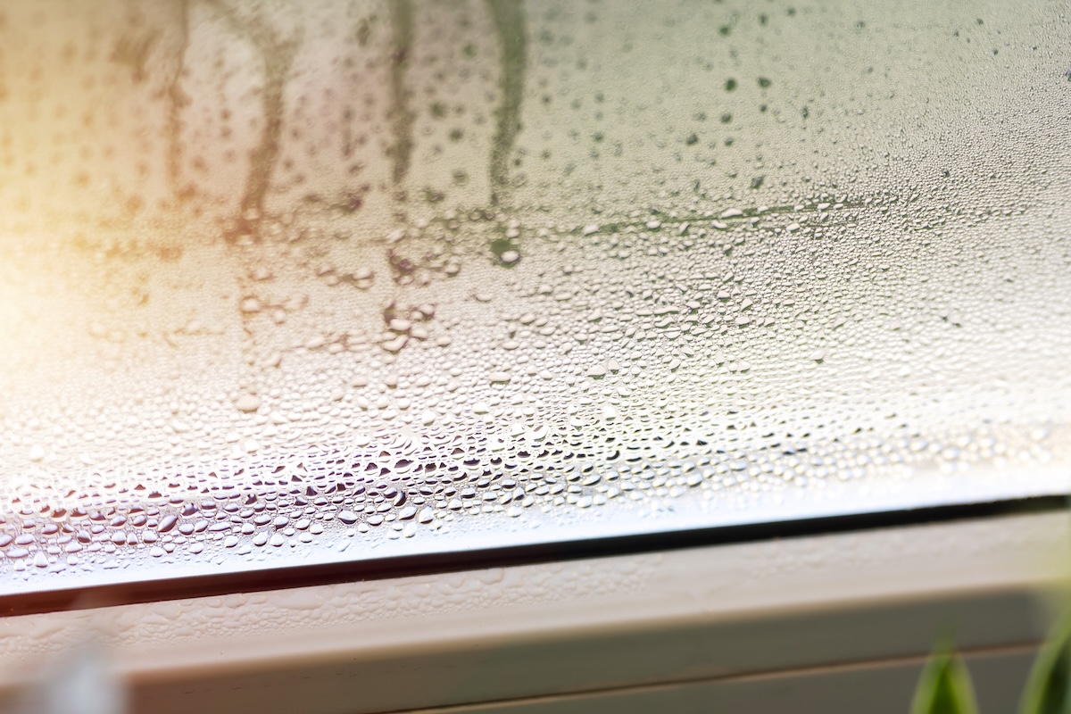 Close-up of water condensation on window - Info Vandaag