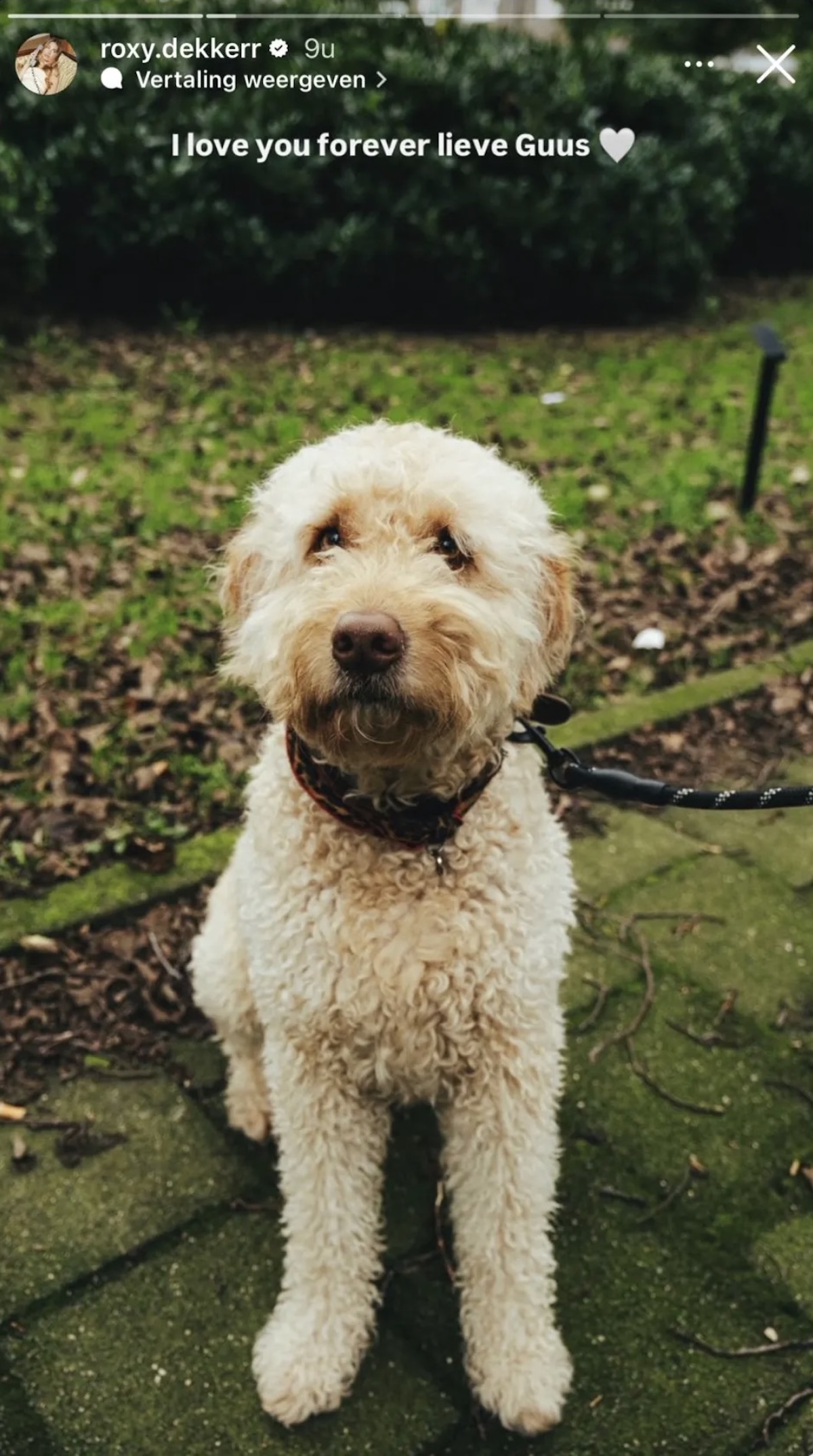 Screenshot - Info Vandaag