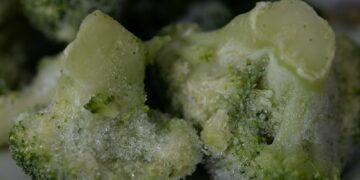 green and white food on white ceramic plate