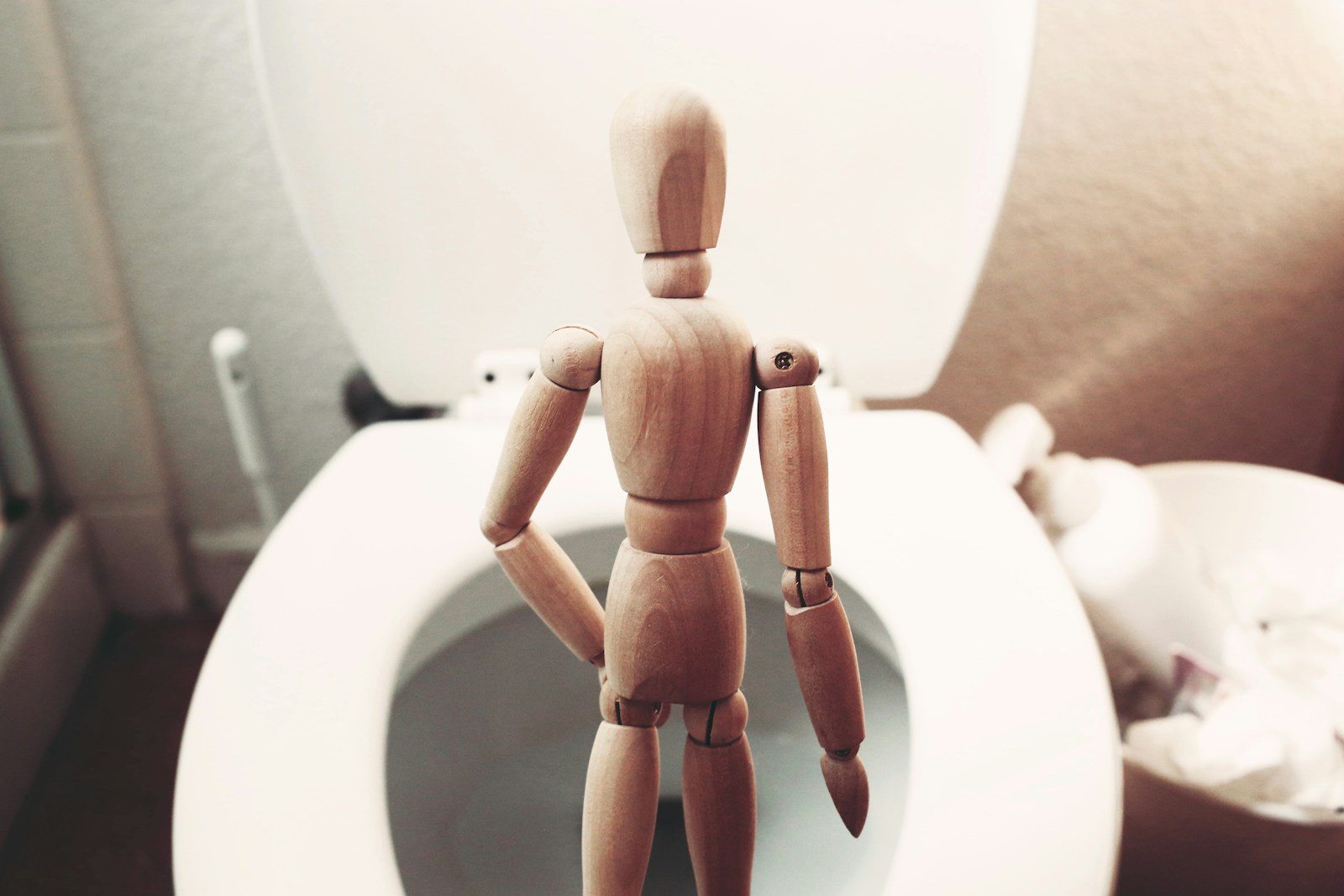 Brown wooden mannequin on white ceramic toilet bowl