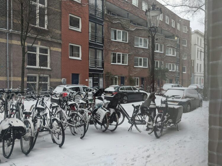 A bunch of bikes that are in the snow