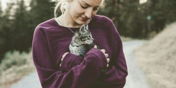 selective focus photography of woman hugging gray kitten