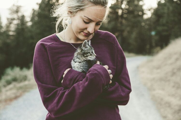 Selective focus photography of woman hugging gray kitten