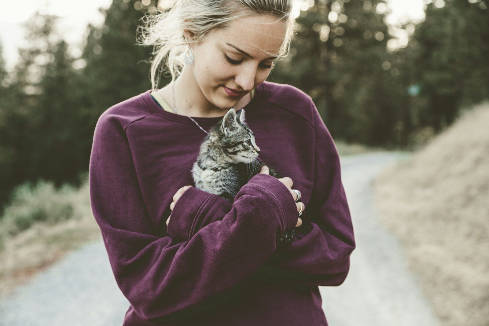 Selective focus photography of woman hugging gray kitten