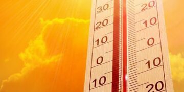 De zon is weer terug: in deze provincies wordt het volgende week 20 graden