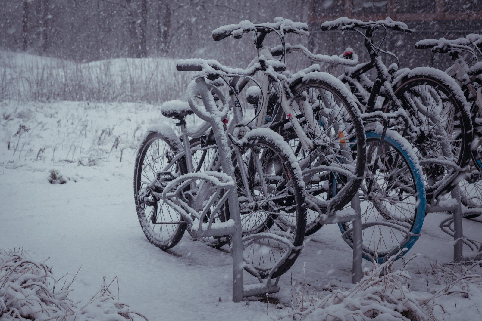 Photo by Pourya Gohari - Info Vandaag A bunch of bikes that are sitting in the snow