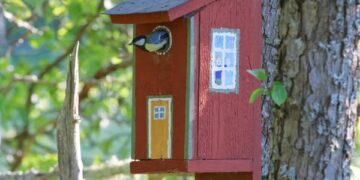 Bijna iedereen vergeet in februari dit belangrijke tuinklusje (en het kost maar een paar minuten)