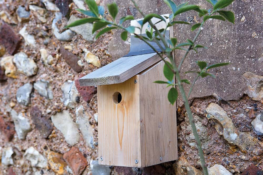 nestkast-winterverblijf-vogels - Info Vandaag