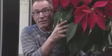 Gezondheidsupdate tuinman Rob Verlinden (75): ‘Moet in de gaten gehouden worden’