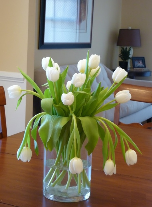 tulpen - Info Vandaag