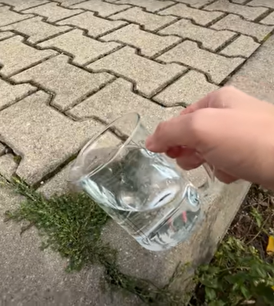 onkuid bestrijden - Info Vandaag