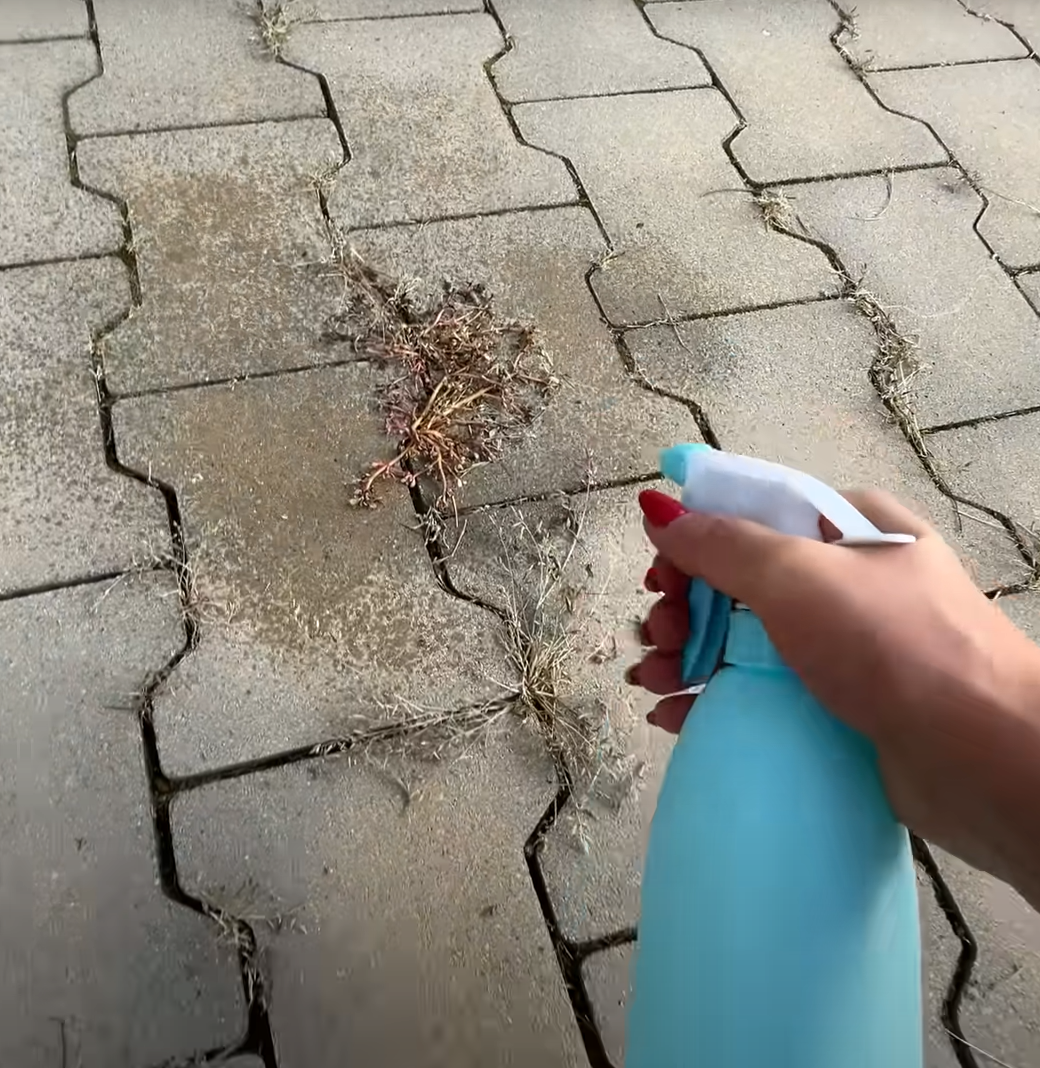 Schermafbeelding 2026-03-09 101141 - Info Vandaag