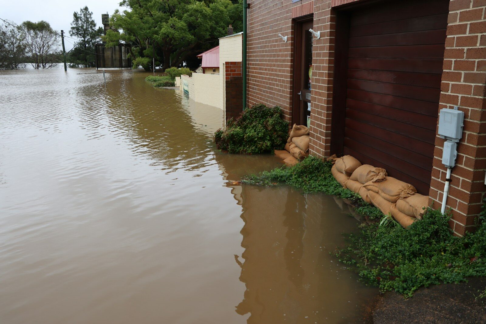 A flooded street with a building and a dog lying on the ground