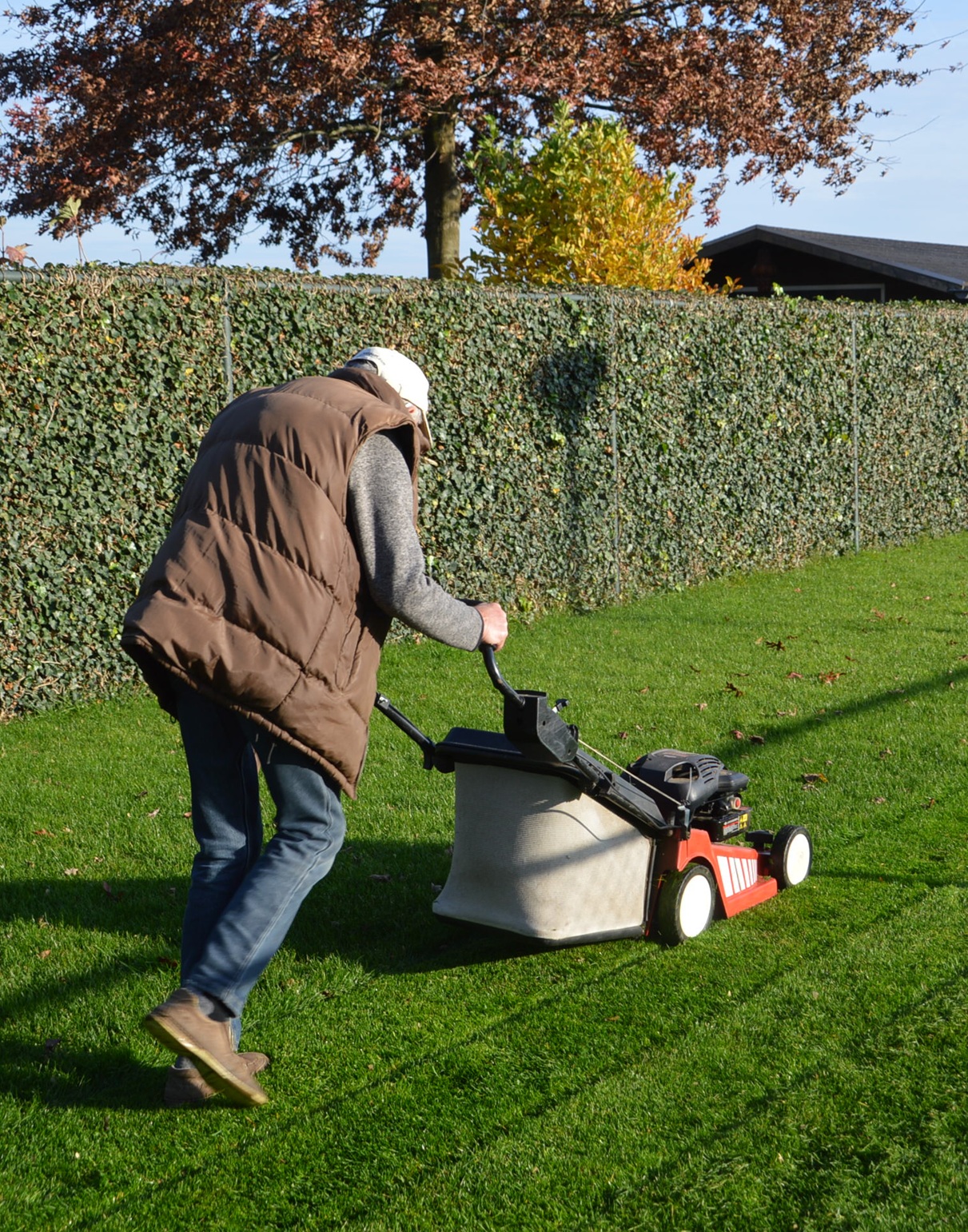 grasmaaien - Info Vandaag