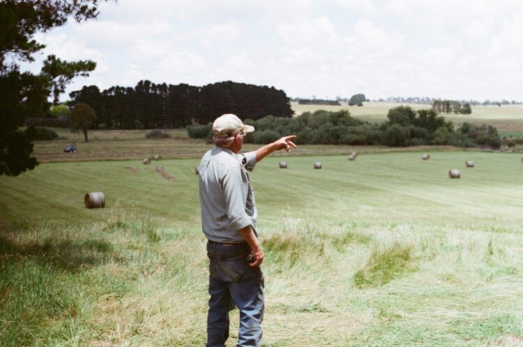 Man wearing gray long sleeved shirt on green grass field