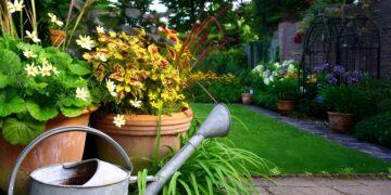 Nederlanders lopen massaal deze gemeentelijke subsidie mis