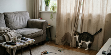 Met dit eenvoudige trucje ben je binnen no-time van de geur van kattenpis af