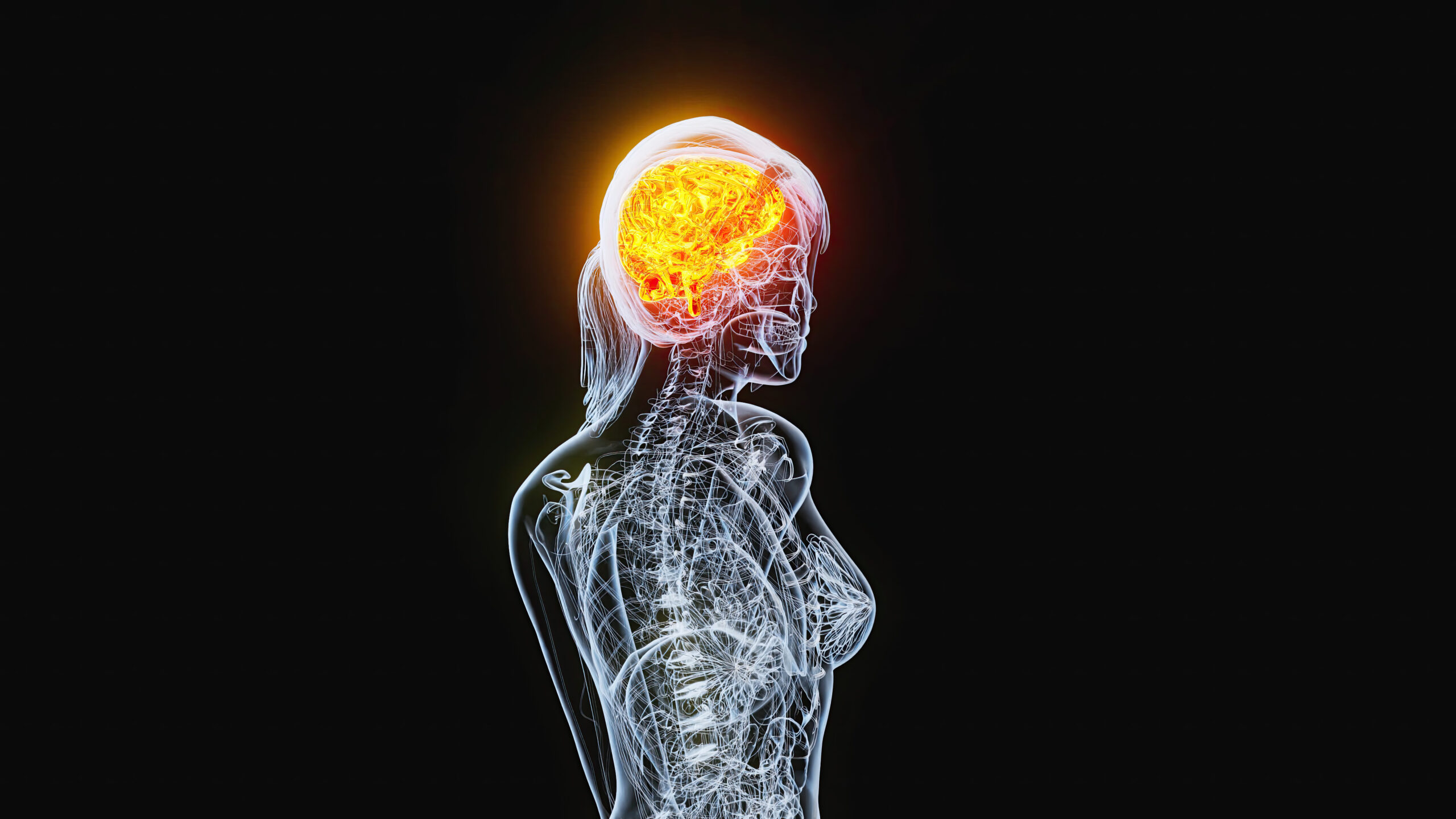 Side view of a transparent human with an illuminated orange brain inside the skull showing the nervous system