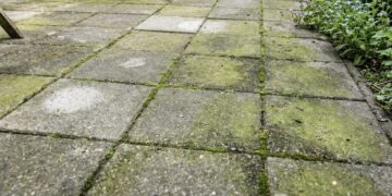 Dit is de beste manier om groene aanslag in je tuin te verwijderen