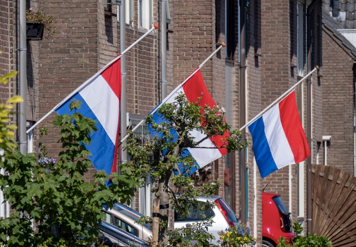 Dutch flags hanging from flagpoles along a brick residential street with trees and parked cars 