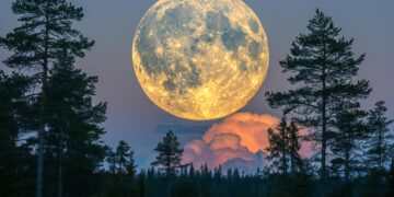 Déze sterrenbeelden gaan het meest merken van de volle maan vannacht