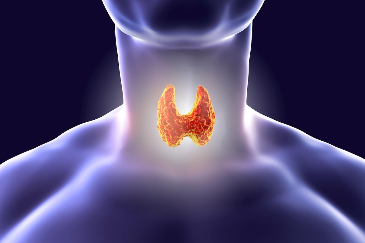 Medical illustration showing a glowing orange thyroid gland in the front of the neck highlighting its location