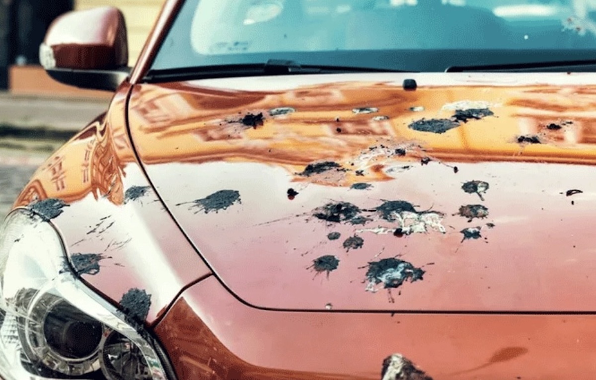 Orange car hood with numerous dark impact marks and scratches suggesting major damage to the front of the vehicle including the headlight area nearby