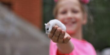 selective focus photography of white mouse on girl right hand