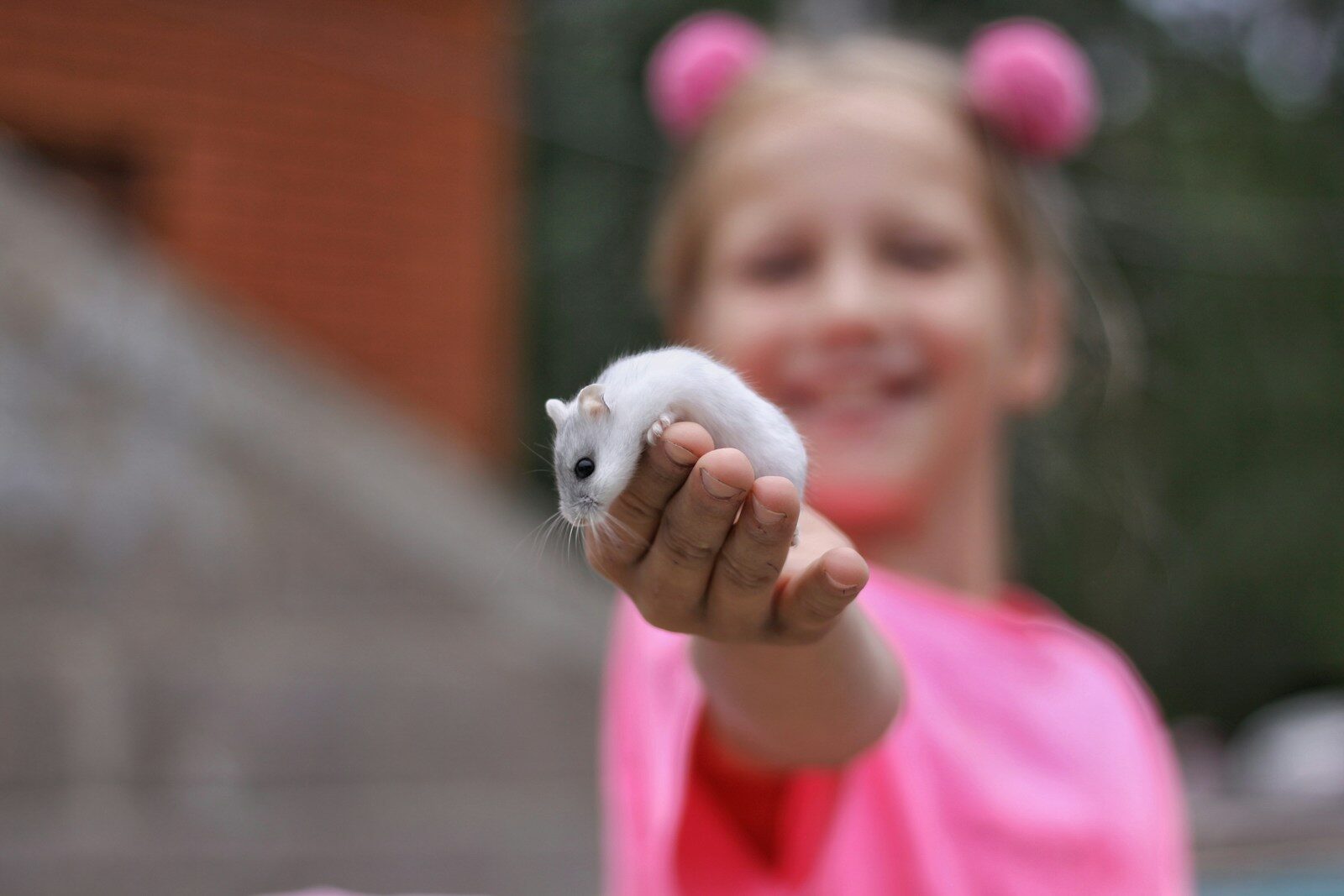 Selective focus photography of white mouse on girl right hand